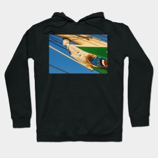 Figurehead, sailing ship, Rickmer Rickmers, Hamburg, evening, evening light Hoodie